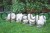 144993_Anwendungsbild__80518_149f.jpg