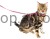 10749_Additional_image_82668_71cb.jpg