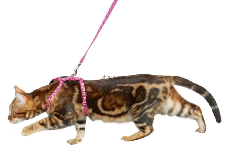 15138_cdf7.jpeg