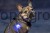 177761_Stimmungsbild__81194_a5ad.jpg