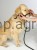 91076_Anwendungsbild_83313_effc.jpg