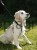 91327_Anwendungsbild__83723_2e48.jpg