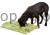 80785_30.t_f7b7.jpg