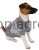 10577_Additional_image_81404_e66f.jpg