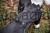 81376_10_7b2a.jpg