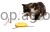 109086_Zusatzbild__81666_f06b.jpg