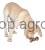 10791_Anwendungsbild__83513_4932.jpg