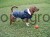 91985_Application_image_84933__1__5e56.jpg