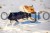 93036_Application_image_84933_ddb7.jpg