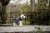 80618_e79a.jpg