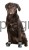 120737_Zusatzbild_80647_a1fb.jpg