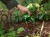 215669_Anwendungsbild__299133_3bb3.jpg