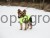 145327_Application_image_80660_1a32.jpg