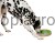 80813_31.t_af10.jpg