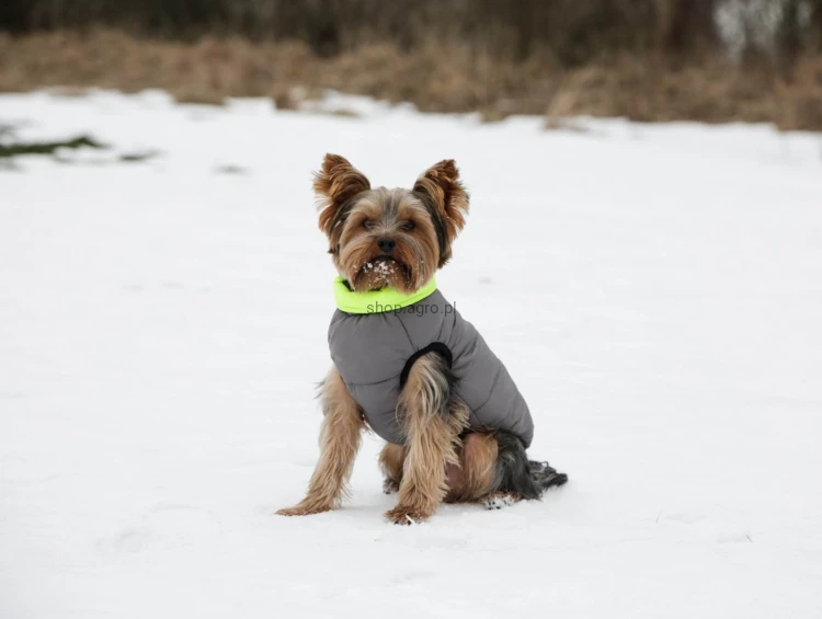 145326_Application_image_80660_6a7a.jpg