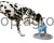 80812_35.t_1ef3.jpg
