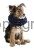 145258_Anwendungsbild__80834_e33a.jpg