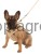 94510_Zusatzbild__81086_af38.jpg