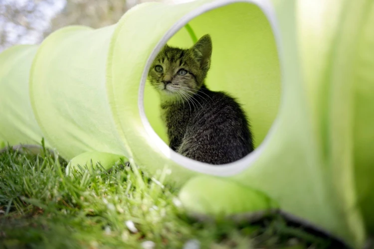 148162_Anwendungsbild__81631_c5d8.jpg