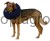 145771_Anwendungsbild__80835_32ae.jpg