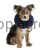 145252_Anwendungsbild__80834_8d06.jpg