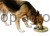 80814_31.t_84ac.jpg