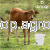 ZDJ__CIA_AKENEO__3__2869.png