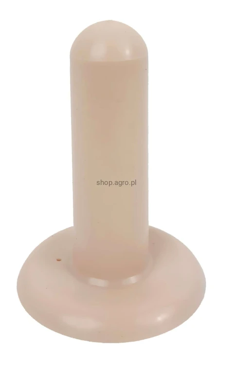 16309_2669.jpeg