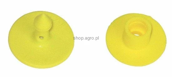 10913_3e96.jpeg