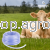 4_bff4.png