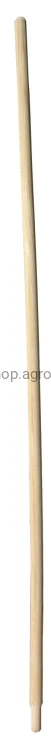 11431_aaff.jpeg