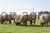 152087_Anwendungsbild__27318_c7bf.jpg