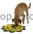 156657_Application_image_80748_84e9.jpg