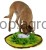 156660_Anwendungsbild_80749_18bf.jpg