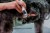 159439_Anwendungsbild__GT416_645e.jpg