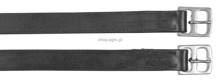 86228_4d6d.jpg