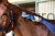 208936_Anwendungsbild__181881_5c41.jpg