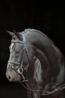 163754_Anwendungsbild_326137_bea5.jpg