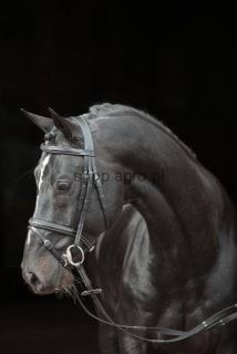 163754_Anwendungsbild_326137_bea5.jpg