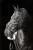3297736_6_a84c.jpg