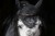 163828_ff55.jpg
