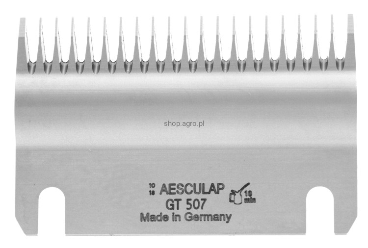 139856_ff99.jpg