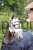 163795_5c7a.jpg