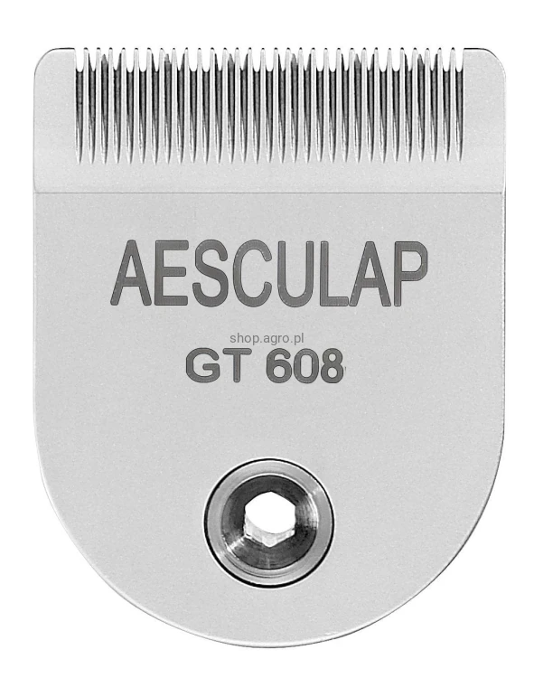 gt608.t_526e.jpg
