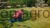 145698_Step_by_step__292203_dcfe.jpg