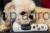 109941_Anwendungsbild__GT405_c114.jpg