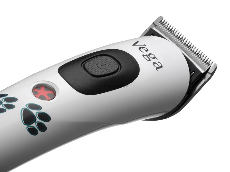 gt410_12.t_c669.jpg
