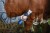176868_Anwendungsbild__GT474_0fbc.jpg