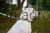176510_Sentiment_80031_28e7.jpg