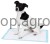 108874_Zusatzbild__80740_9ce4.jpg